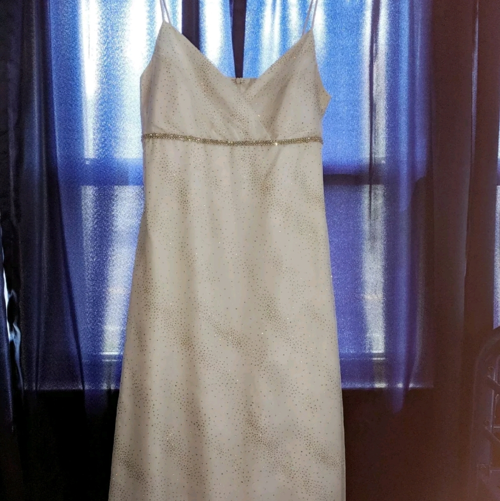 Onyx Nite Formal dress